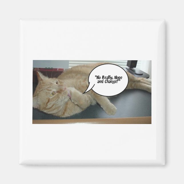 Hope and Change/Cat Humour Magnet (Front)