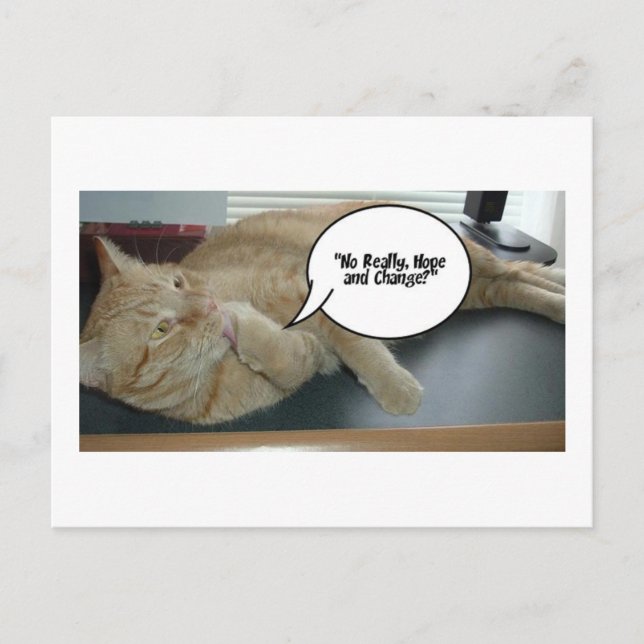 Hope and Change/Cat Humour Postcard (Front)