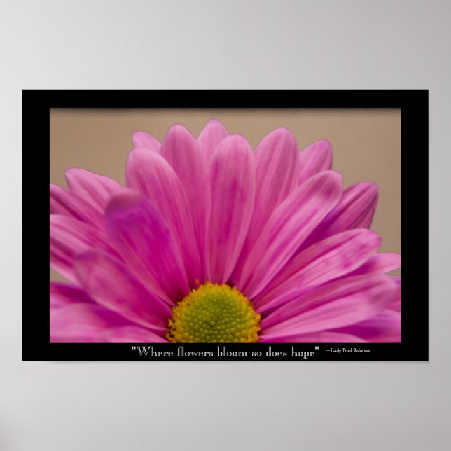Hope Blooms Pink Gerber Daisy Poster (Front)