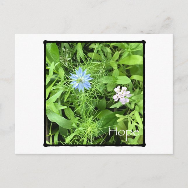 Hope Horizontal Postcard (Front)