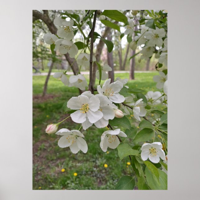 Hope is Near Poster (Front)