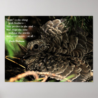 "Hope" is the thing with feathers Poster
