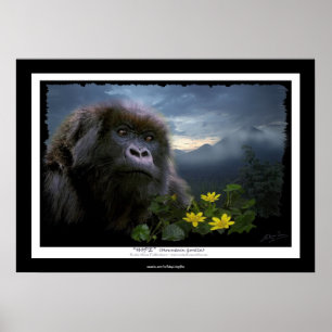 "HOPE" Mountain Gorilla Africa Wildlife Art Poster