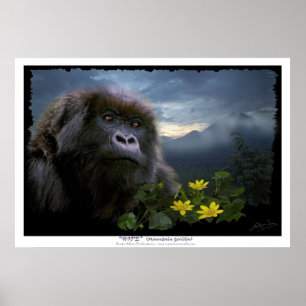 "HOPE" Mountain Gorilla Print
