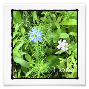 Hope Photo Print