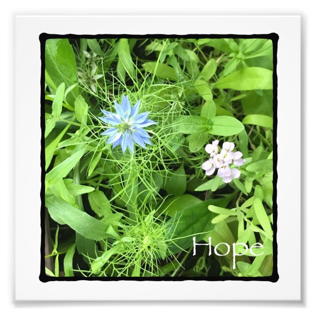 Hope Photo Print (Front)