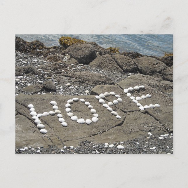 Hope Seashell Art Postcard (Front)