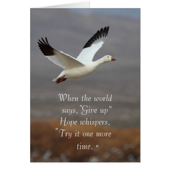 Hope whispers try it one more time (Front)