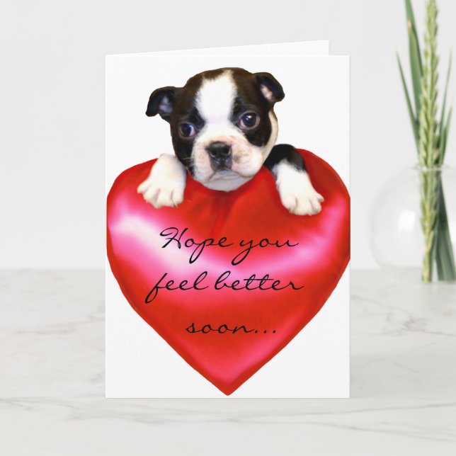 Hope you feel better Boston Terrier Greeting Card (Front)