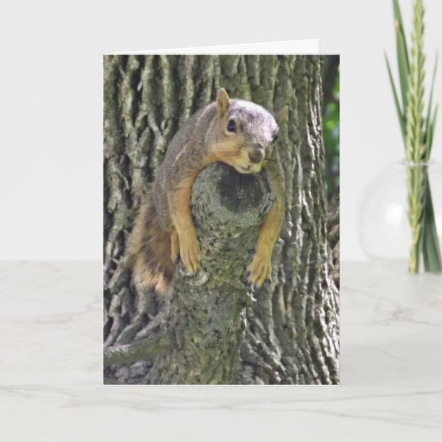 Hope you feel Better Soon, Funny Squirrel Card (Front)