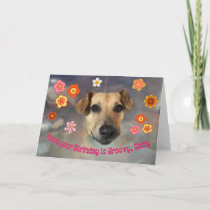 Hope Your Birthday Is Groovy with Funny Dog Card