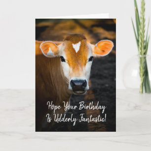 Hope Your Birthday Is Udderly Fantastic Card – Fun