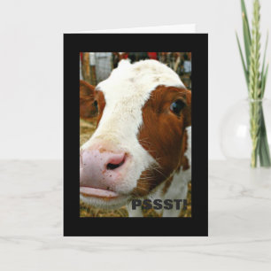 "Hope Your Birthday Is Udderly Fantastic" Cow Card