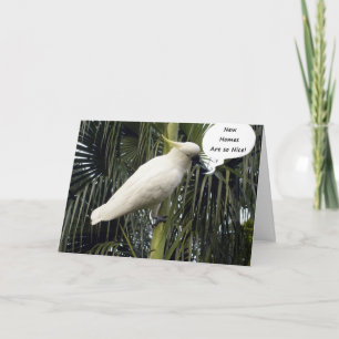 HOPE YOUR NEW HOME IS COMFY=CONGRATULATIONS CARD