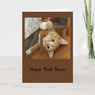Hope You're Feeling Purr-fectly Fine! Card