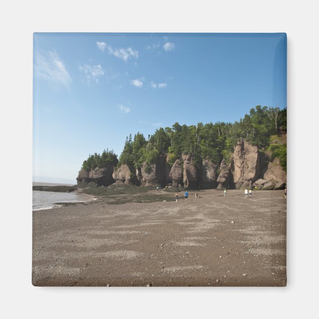 Hopewell Rocks and The Ocean Tidal Exploration Magnet (Front)