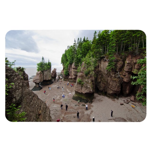 Hopewell Rocks Low Tide Canada Flex Magnet (Horizontal)