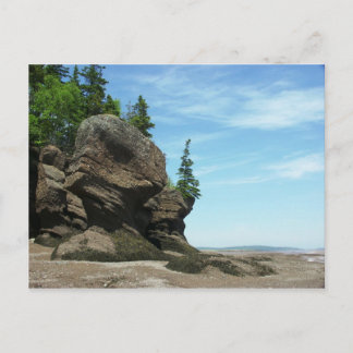 Hopewell Rocks Postcard