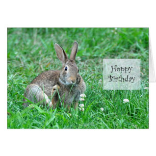 Hoppy Birthday Frameable Card