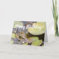 Hoppy Birthday Funny Frog