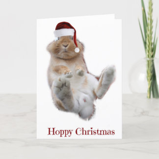 Hoppy Christmas Holiday Card