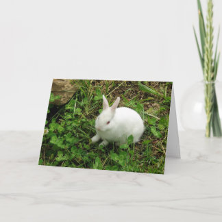 Hoppy Easter Holiday Card