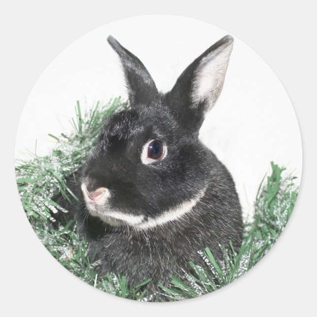 Hoppy Holidays Classic Round Sticker (Front)