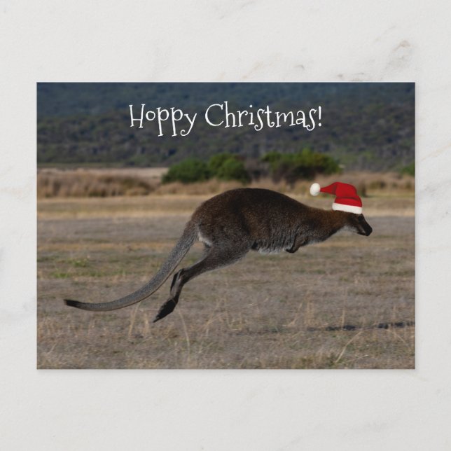 Hoppy Merry Christmas Kangaroo Red Santa Hat Postcard (Front)