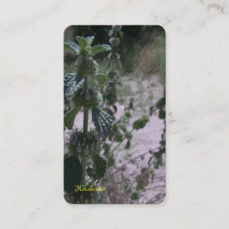 Horehound herb business card