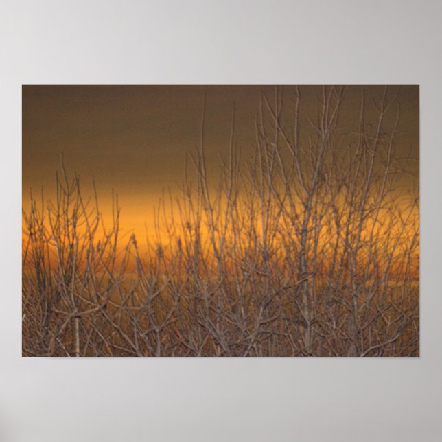 Horizon over Lake Erie Poster (Front)