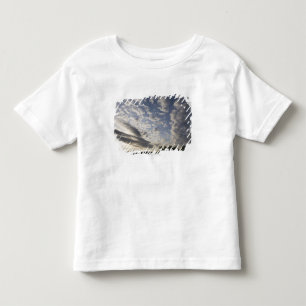 Horizon Sky View with Clouds Toddler T-Shirt