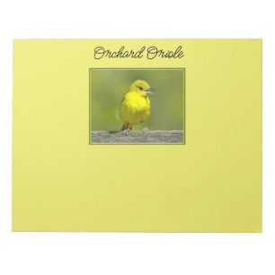 horizontal (name) notepad