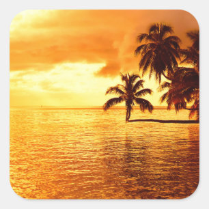 Horizontal palm tree sunset sticker