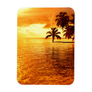 Horizontal palm tree sunset vertical magnet