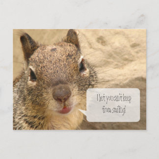 Horizontal Postcard - Smiling Squirell