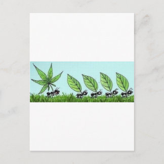 hormiga colocada postcard