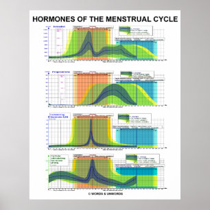 Hormones Of The Menstrual Cycle Menstruation Poster
