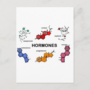 Hormones Postcard