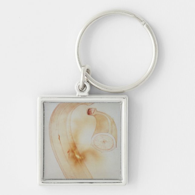 Horn Plantain Key Ring (Front)