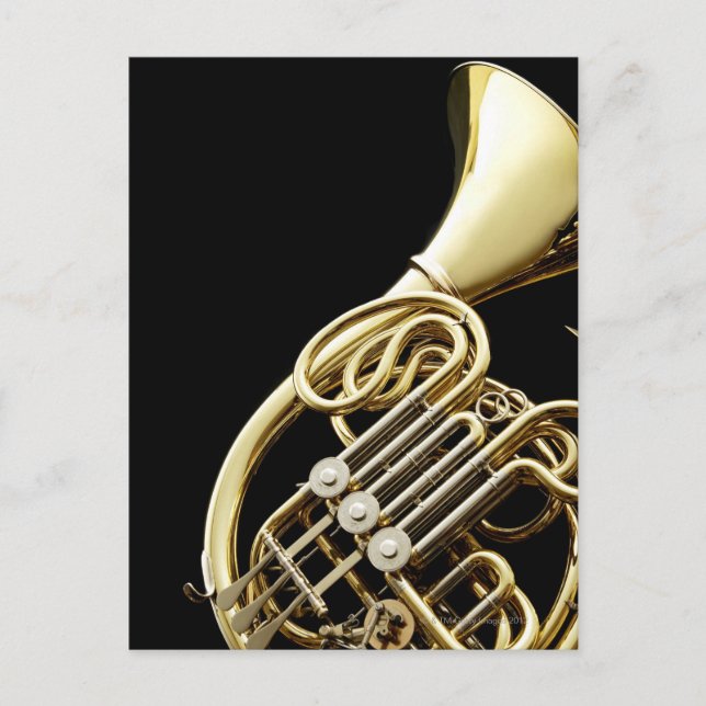 Horn Postcard (Front)