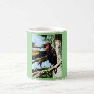 Hornbill Coffee Mug
