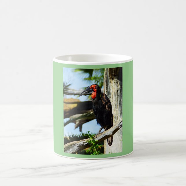 Hornbill Coffee Mug (Center)