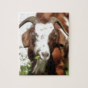 Horned Goat Grazing Jigsaw Puzzle