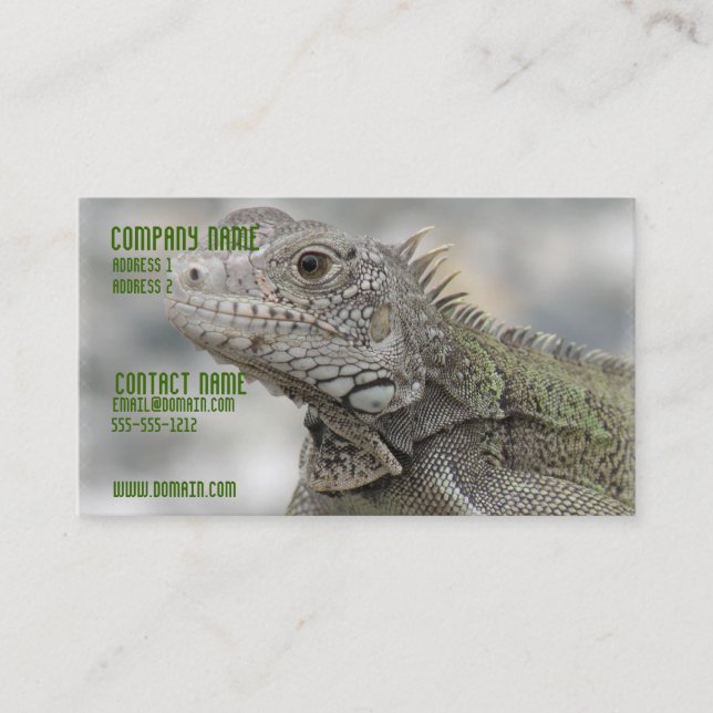 Horned Iguana Business Card (Front)