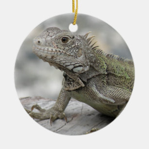 Horned Iguana Ornament