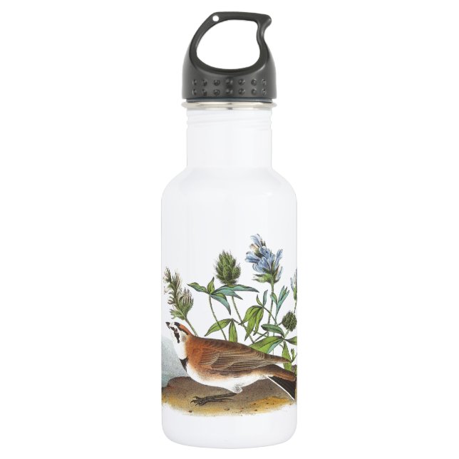 Horned Lark by Audubon 532 Ml Water Bottle (Front)