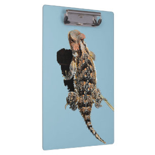 Horned Lizard Clipboard