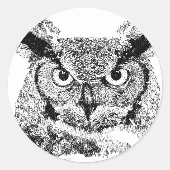 Horned Owl Classic Round Sticker (Front)
