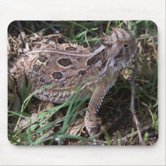 horned toad mouse pad