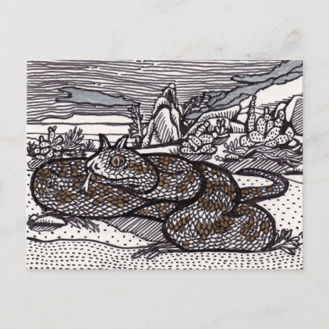 Horned Viper Postcard (Front)